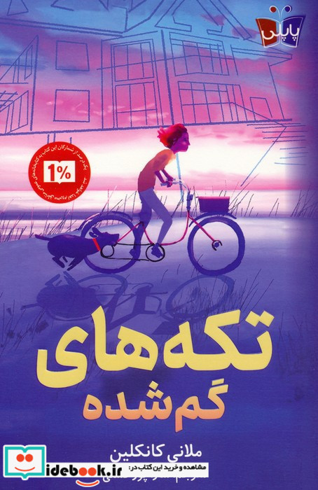 تکه های گم شده