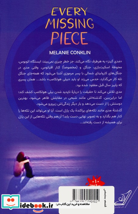 تکه های گم شده