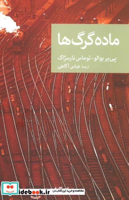 ماده گرگ ها