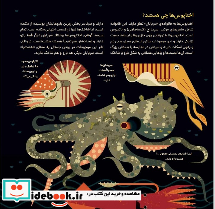 دنیای رنگارنگ اختاپوس ها