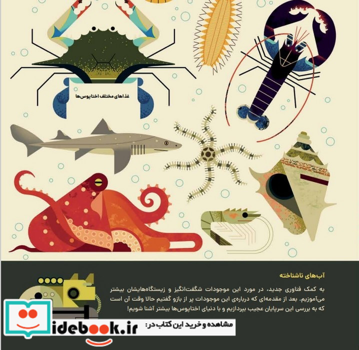 دنیای رنگارنگ اختاپوس ها