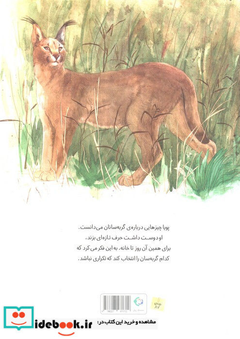 بزرگ ترین گربه ی جهان