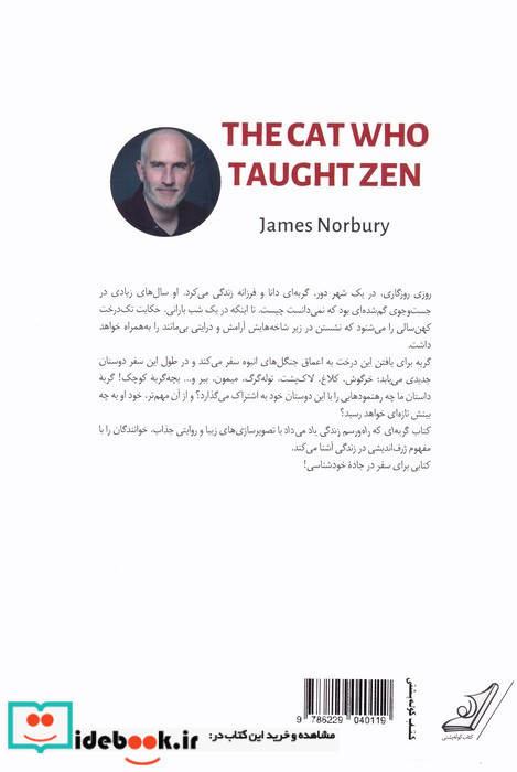 گربه ای که راه و رسم زندگی یاد می داد