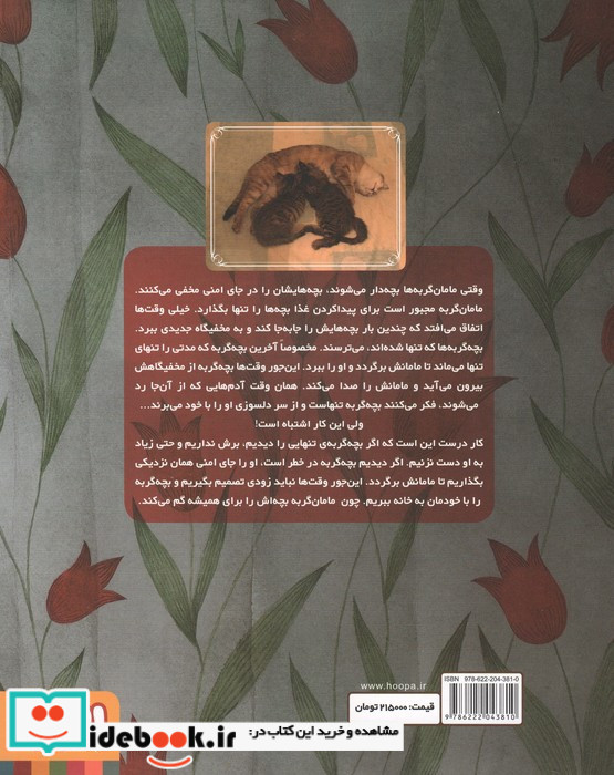 بچه گربه تنها