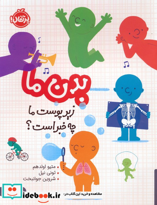 بدن ما زیر پوست ما چه خبر است؟