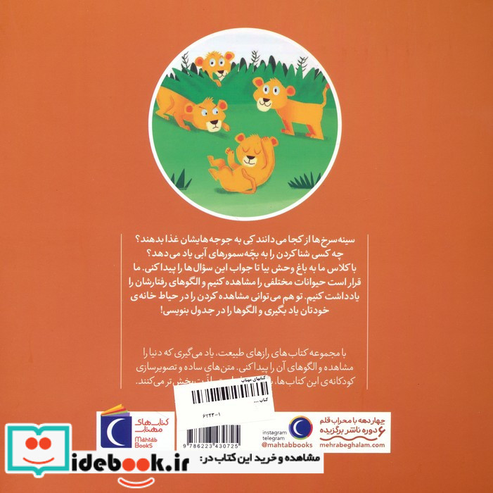 جوجه ها هم عصرانه می خورند؟