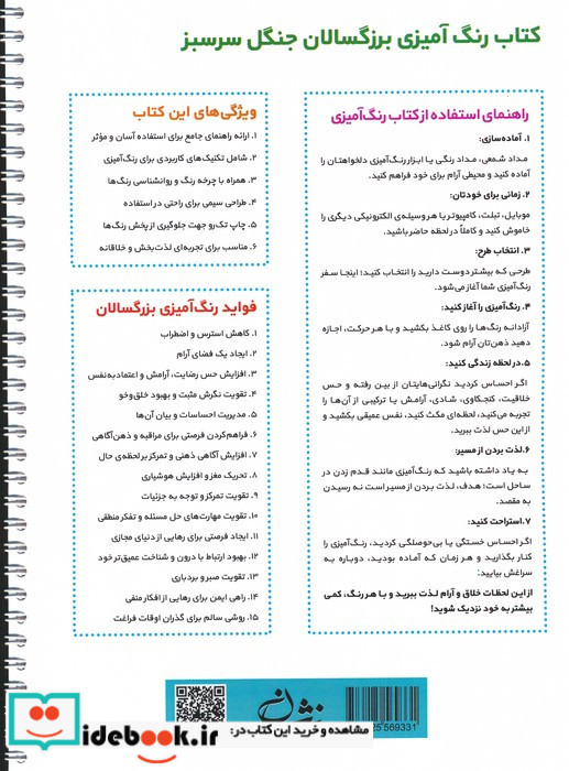 جنگل سرسبز 