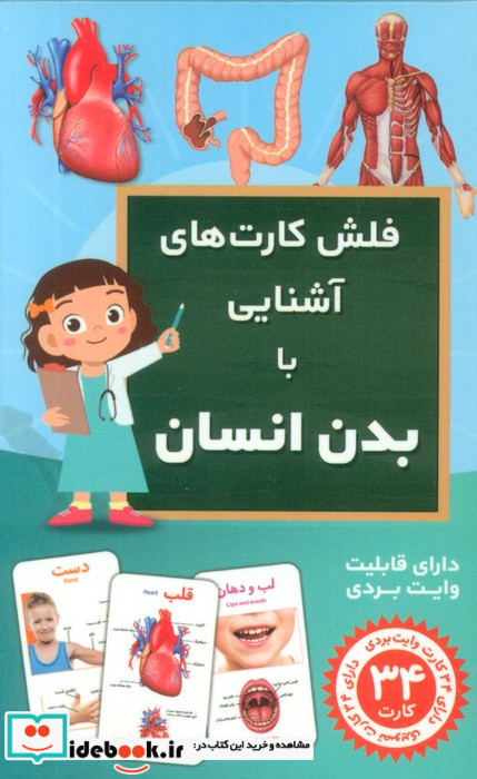 فلش کارت آموزشی آشنایی با بدن انسان