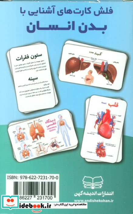 فلش کارت آموزشی آشنایی با بدن انسان