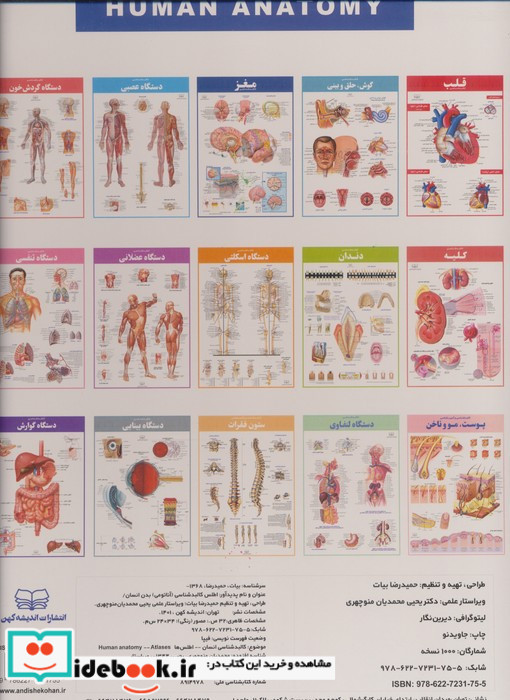 اطلس کالبدشناسی بدن انسان