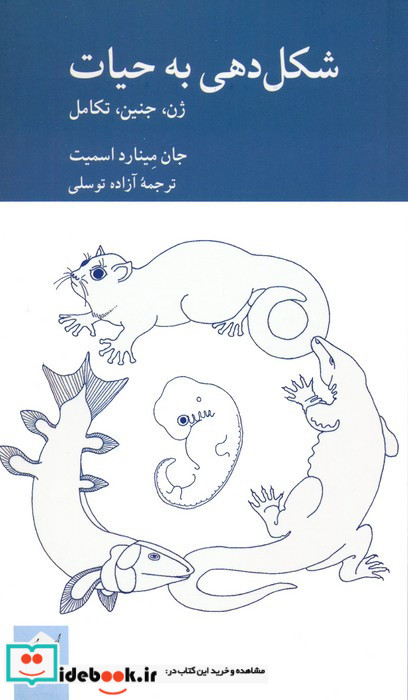 شکل دهی به حیات