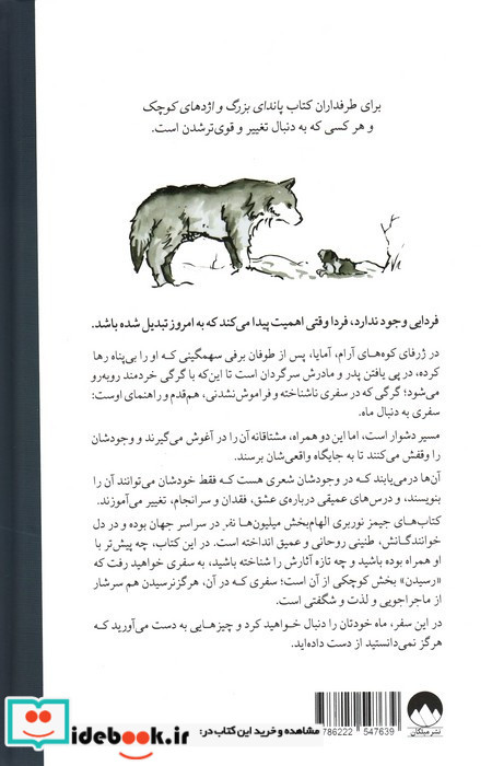 به دنبال ماه