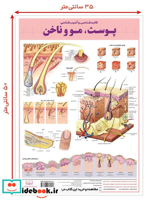 کالبد شناسی آسیب شناسی پوست مو و ناخن 50*35