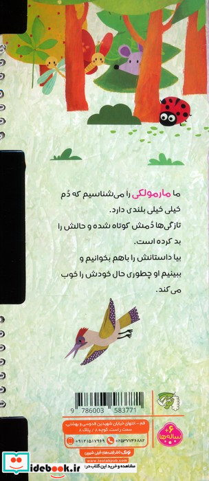 دم بلند