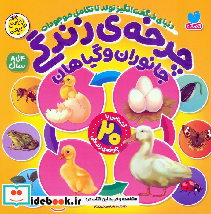 چرخه ی زندگی جانوران وگیاهان