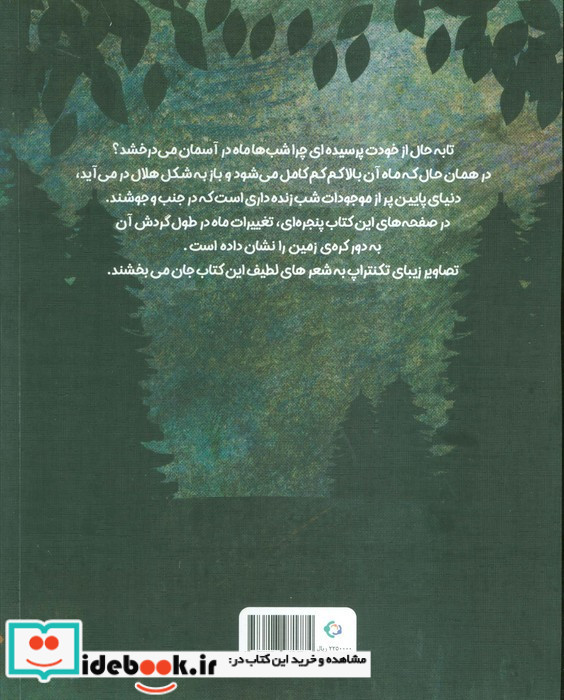 ماه نقره ای