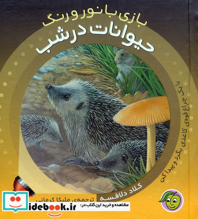 حیوانات در شب