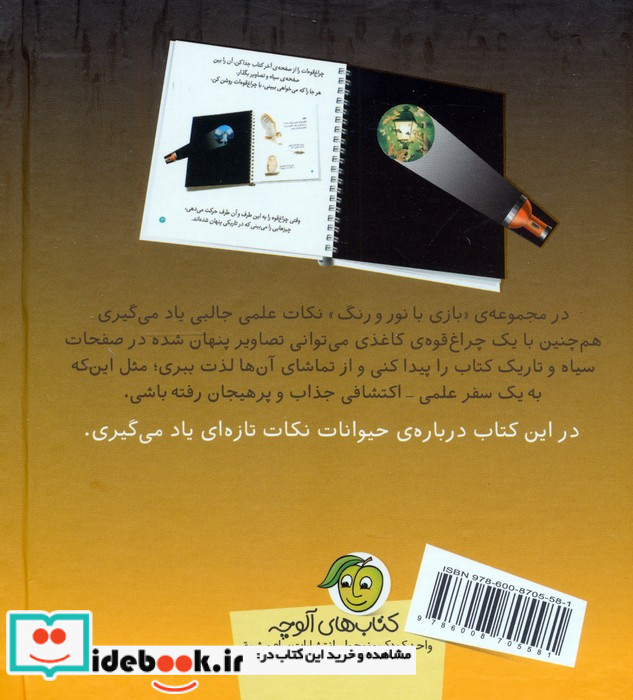 حیوانات در شب