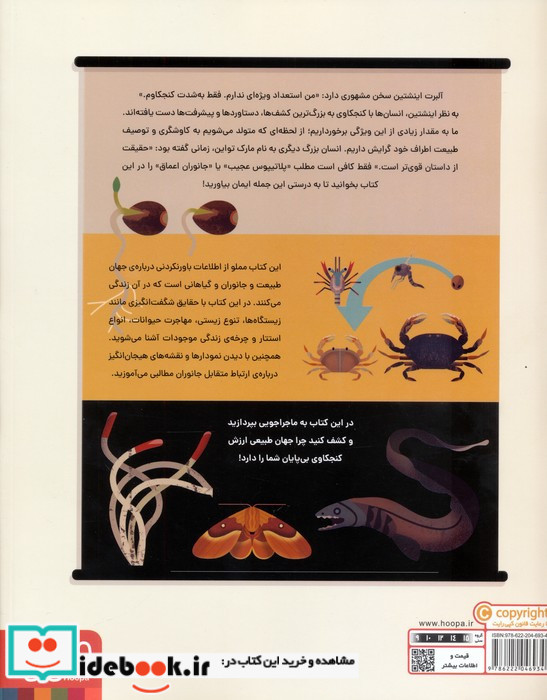 جهان طبیعت و یک کنجکاوی بی پایان