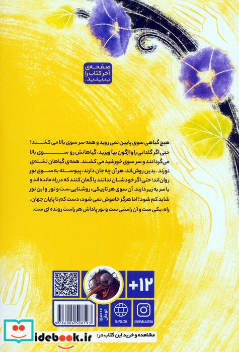 نیلوفر نشر کیوی
