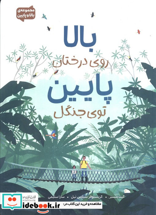 بالا روی درختان پایین توی جنگل