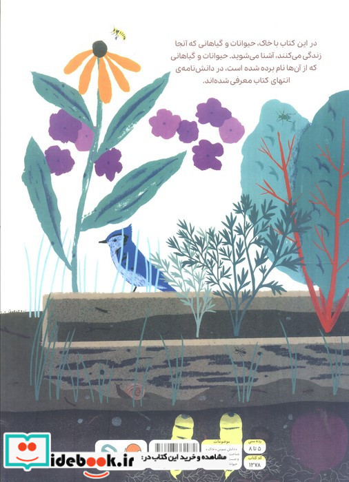 بالا روی خاک پایین توی خاک