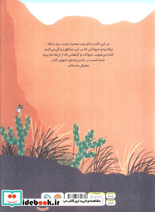 بالا توی صحرا پایین توی دره