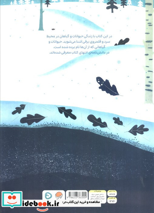 بالا روی برف پایین توی برف