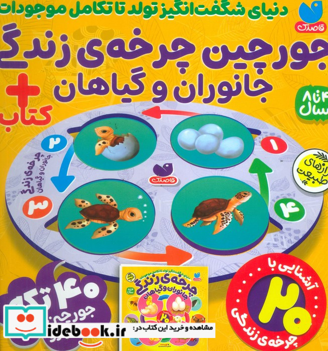 پازل جعبه 40 تکه فومی جورچین چرخه ی زندگی جانوران و گیاهان