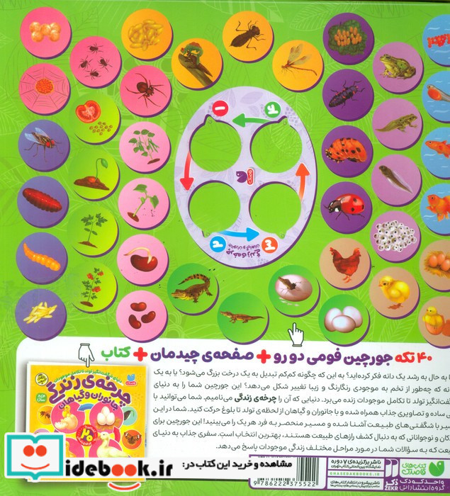 پازل جعبه 40 تکه فومی جورچین چرخه ی زندگی جانوران و گیاهان