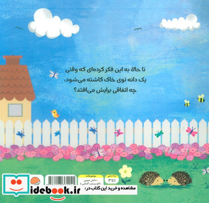 آفتاب گردان کوچولو
