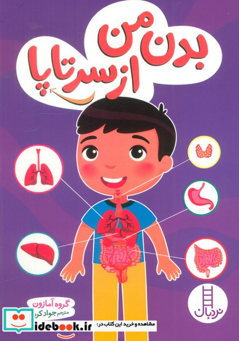 بدن من از سر تا پا