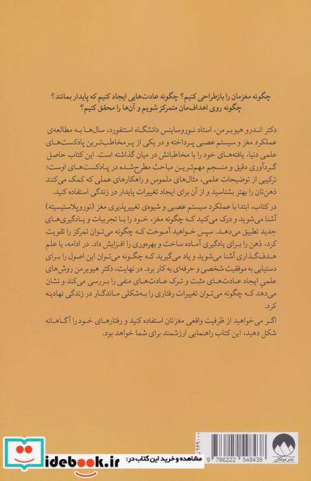 مغز منعطف 