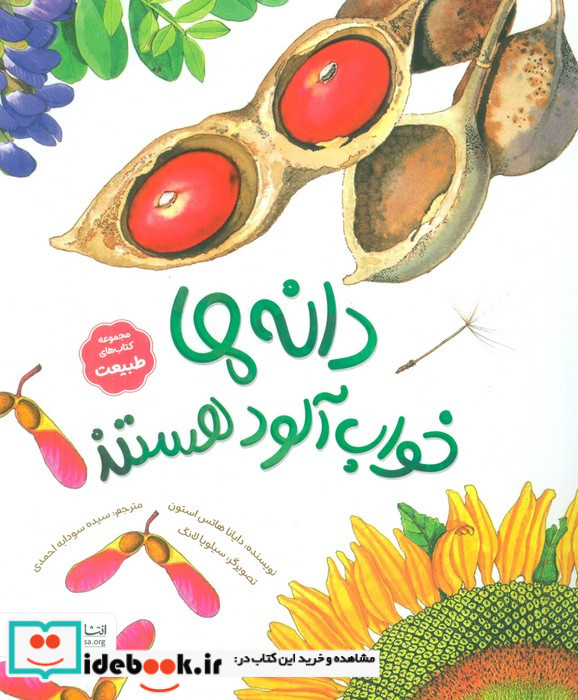 دانه ها خواب آلود هستند