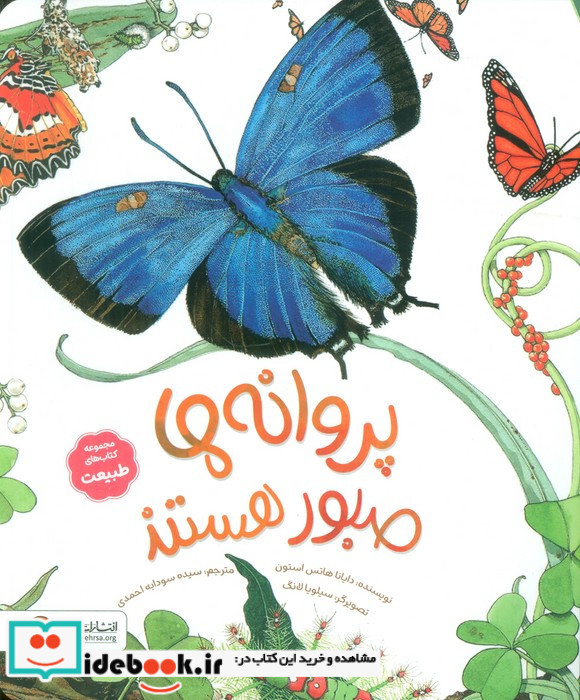 پروانه ها صبور هستند