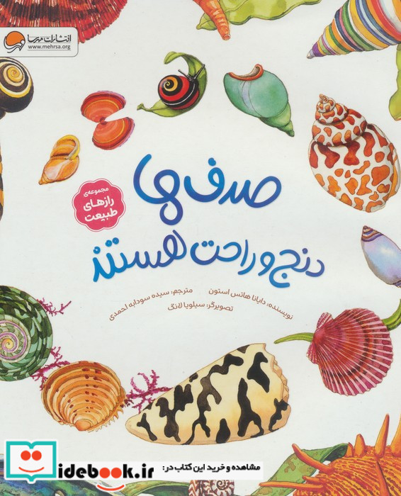 صدف ها دنج و راحت هستند
