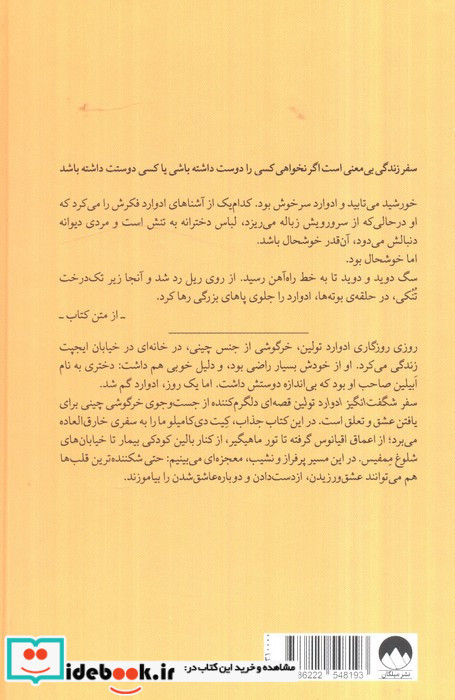 سفر شگفت انگیز ادوارد تولین