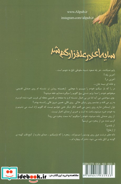 سایه ای در علفزار گم شد