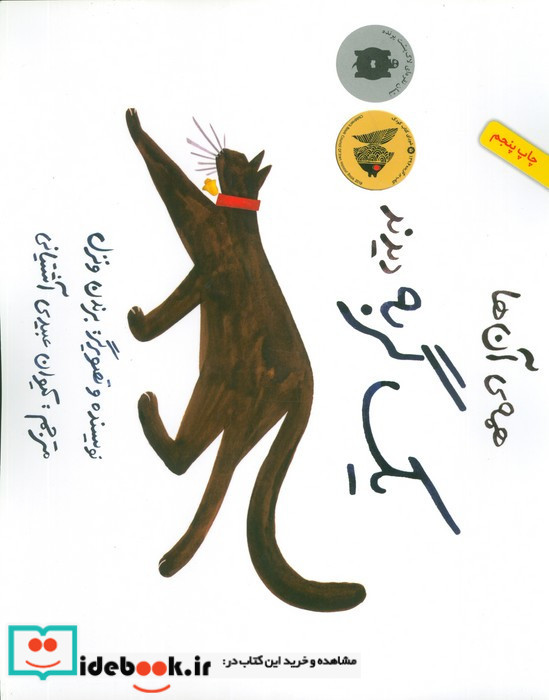 همه ی آن ها یک گربه دیدند