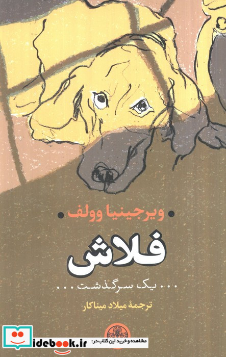 فلاش یک سرگذشت