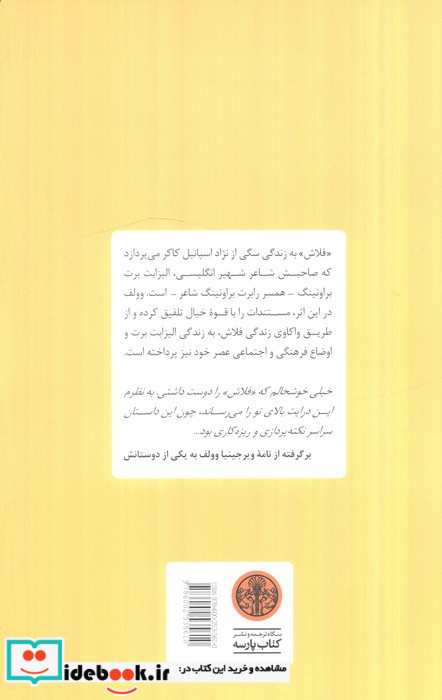 فلاش یک سرگذشت