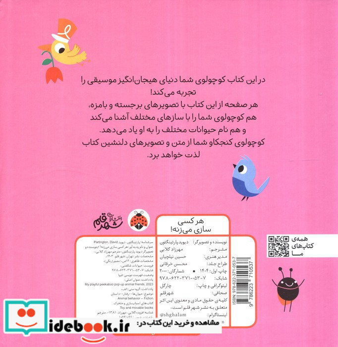 هر کسی سازی می زنه