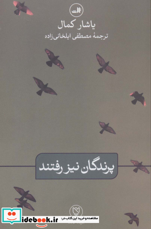 پرندگان نیز رفتند