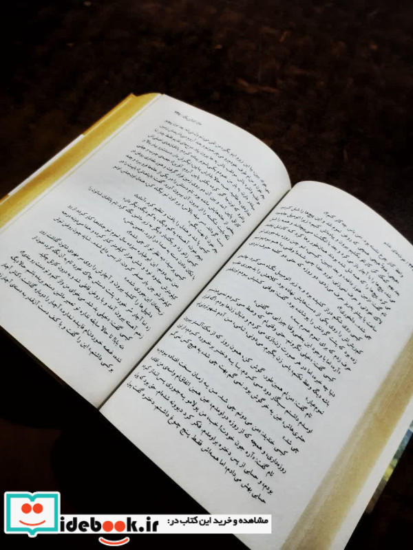 خوشه های خشم نشر نگاه قطع رقعی