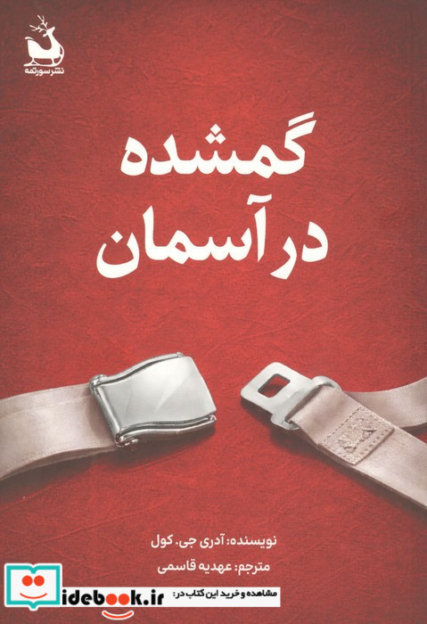 گمشده در آسمان 