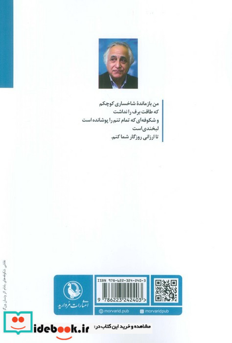 درون شدم از دری که نیست