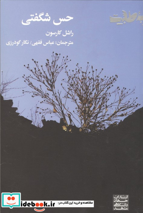 حس شگفتی