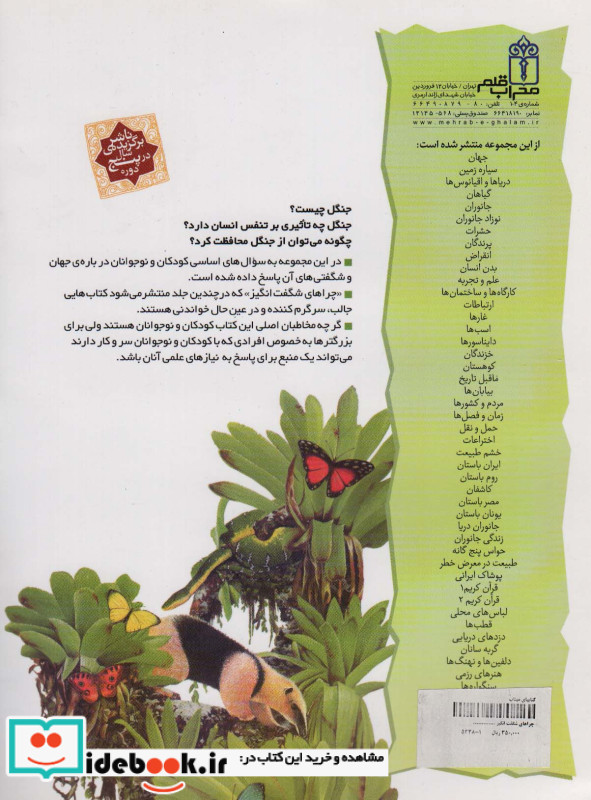 چراهای شگفت انگیز جنگل ها