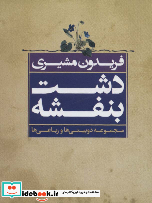 دشت بنفشه