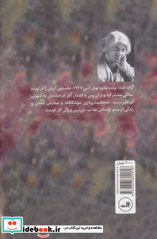 آنالنا